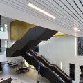 Trần nhôm Linear Multi BF-Shaped